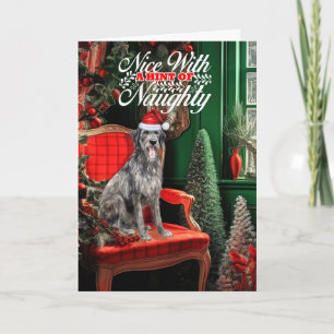 Weihnachten Irischer Wolfshund Hund Unartig oder N