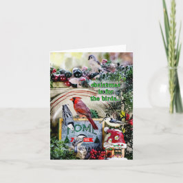 Weihnachten ist für die Vögel kleine Weihnachtskar Karte