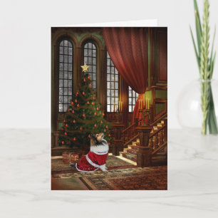 Weihnachten ist hier! Sheltie