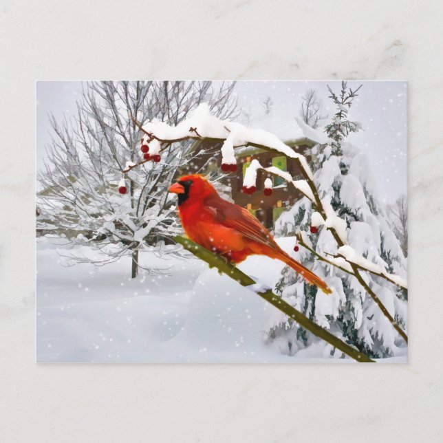 Weihnachten, Kardinal Bird, Schnee, Postkarte (Vorderseite)