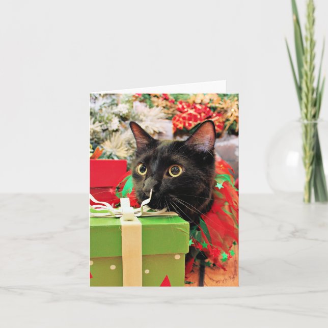 Weihnachten - Katze - Bentley (Vorderseite)