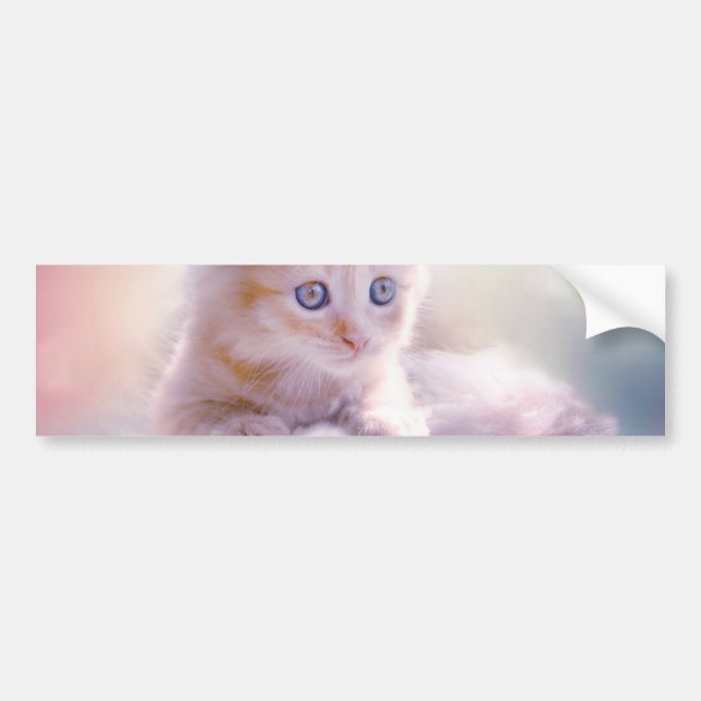 Weihnachten Kitten Autoaufkleber (Vorne)