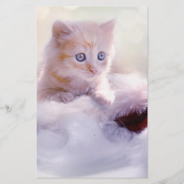 Weihnachten Kitten Briefpapier (Vorderseite)