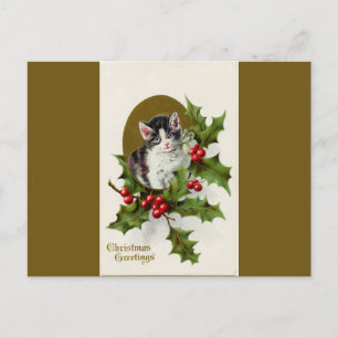 Weihnachten Kitten Gold Postkarte