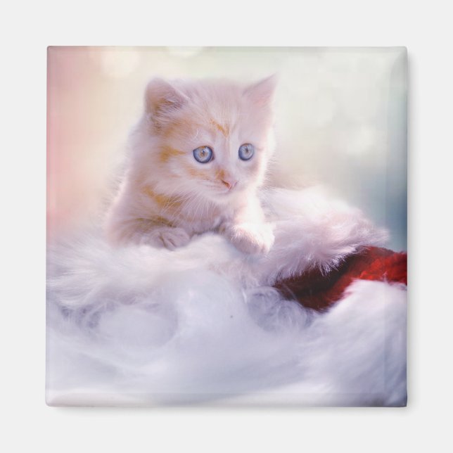 Weihnachten Kitten Magnet (Vorne)
