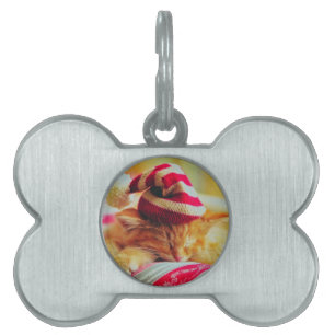 Weihnachten Kitten Tiermarke