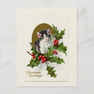 Weihnachten Kitten White Postcard