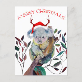 Weihnachten Koala mit Weihnachtsmannmütze