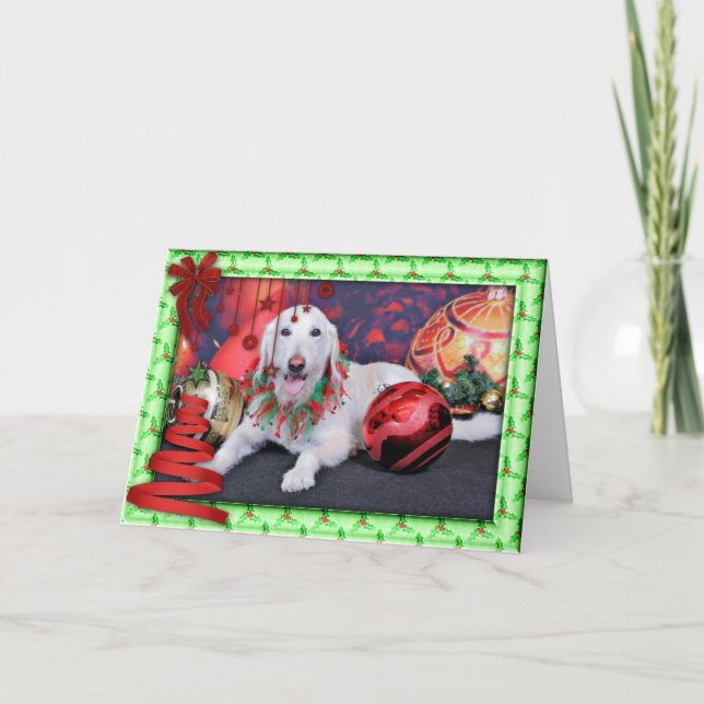 Weihnachten - LabraDoodle - Izzy (Vorderseite)