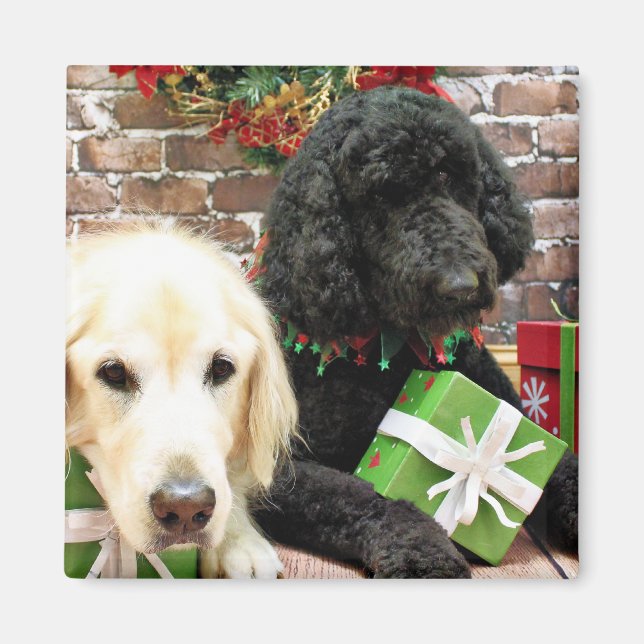 Weihnachten - Labradoodle Miller - Golden Retrieve Magnet (Vorne)