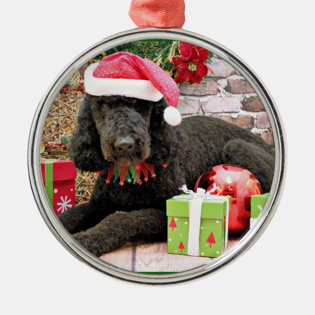 Weihnachten - LabraDoodle - Miller Silbernes Ornament (Vorne)