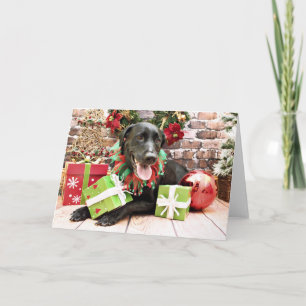 Weihnachten - Labrador - Gracie