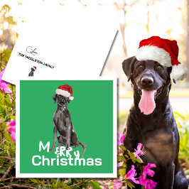 Weihnachten Labrador Hund White Green Merry Gruß