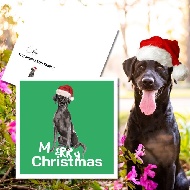 Weihnachten Labrador Hund White Green Merry Gruß (Von Creator hochgeladen)