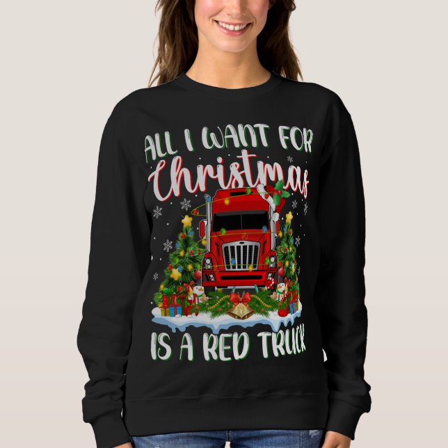 Weihnachten leuchtet Weihnachten Alles, was ich zu Sweatshirt (Vorderseite)