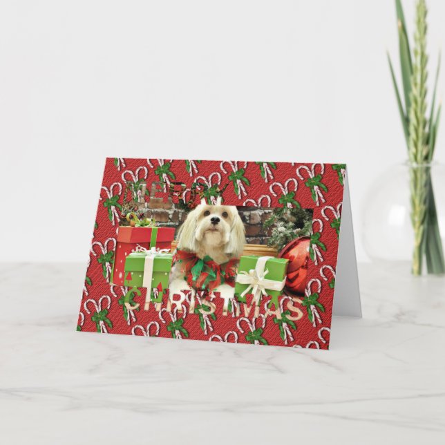 Weihnachten - Lhasa Apso - Muffie (Vorderseite)