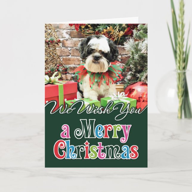 Weihnachten - Lhasa Apso X - Parker (Vorderseite)
