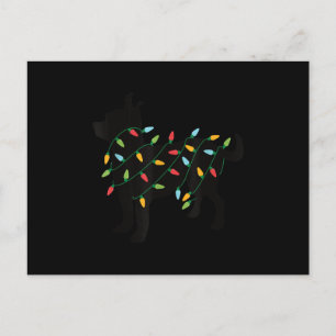 Weihnachten Lichter chihuahua niedliche Geschenke 