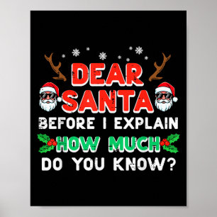 Weihnachten Lieber Santa Bevor Ich Erkläre Lustige Poster