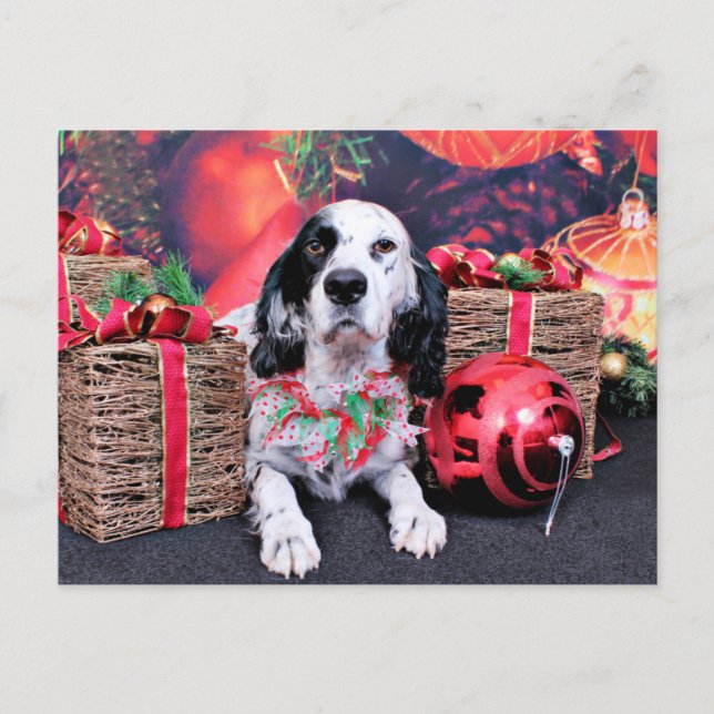 Weihnachten - Louellen Setter - Veruka (Vorderseite)