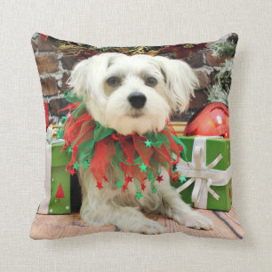 Weihnachten - maltesisch - Oscar Kissen