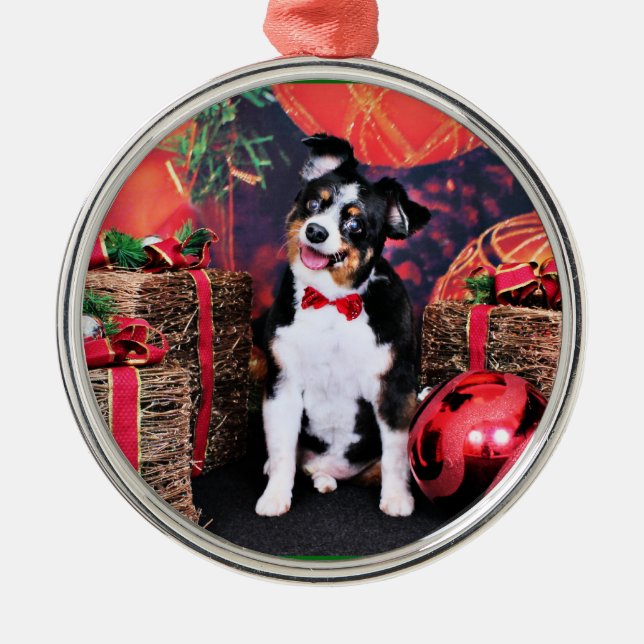 Weihnachten - Miniaustralier - Jack Ornament Aus Metall (Vorne)