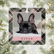 Weihnachten mit Preppy-Karo-Haustierfoto