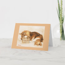 Weihnachten - Mitchs Geschenk