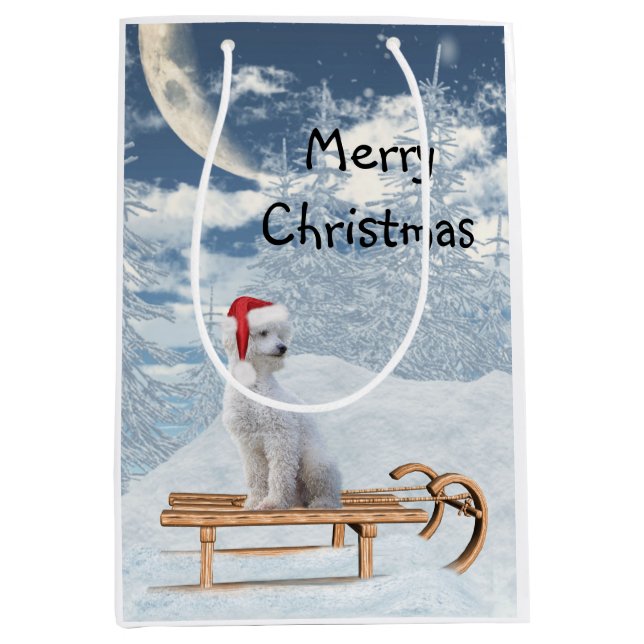 Weihnachten Mittlere Geschenktüte (Vorderseite)