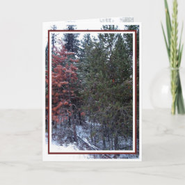 Weihnachten, Neues Jahr, Urlaub - Leere Feiertagskarte