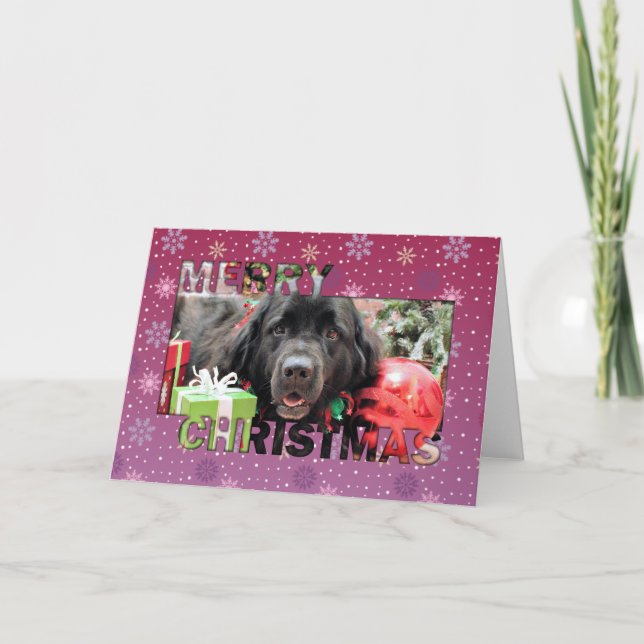 Weihnachten - Neufundland - Izzie (Vorderseite)