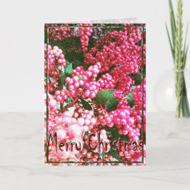 Weihnachten, Neujahr, Urlaub - Holly Berries Feiertagskarte