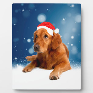 Weihnachten Niedlich Golden Retriever Hund Weihnac Fotoplatte
