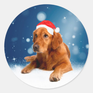 Weihnachten Niedlich Golden Retriever Hund Weihnac Runder Aufkleber