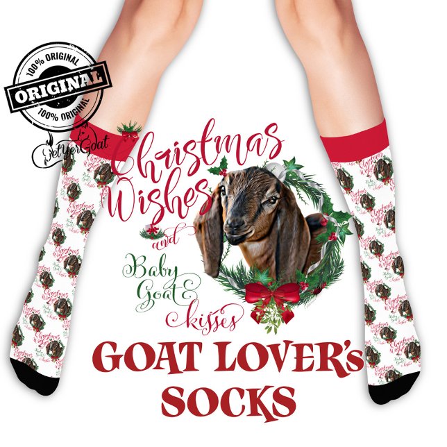 Weihnachten Nubian Doeling Baby Goat Wünsche Socken (Von Creator hochgeladen)