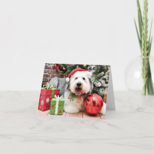 Weihnachten - Old English Sheepdog - Alphy