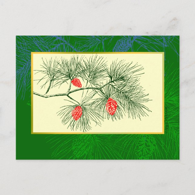 Weihnachten Pine Branch Vintag Art Postkarte (Vorderseite)