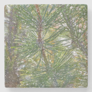 Weihnachten Pine Tree Snow Nature Untersetzer