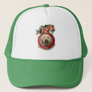 Weihnachten - Plattform die Hallen - Goldendoodles Truckerkappe