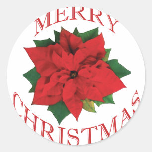 Weihnachten Poinsetta Runder Aufkleber