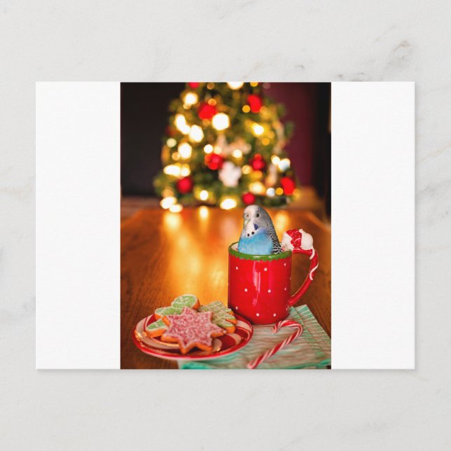 Weihnachten Postkarte (Vorderseite)