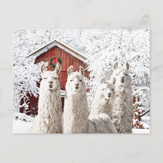 "Weihnachten!" Postkarte (Vorderseite)