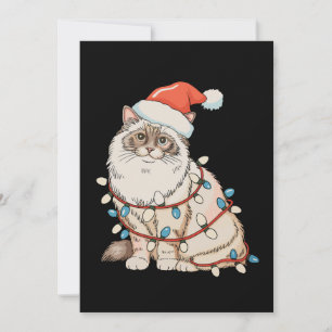 Weihnachten Ragdoll Süße Katze Weihnachtsmann Hut 