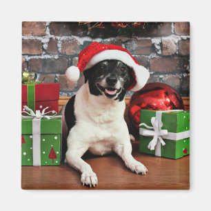 Weihnachten - Ratte Terrier - Sparky Magnet