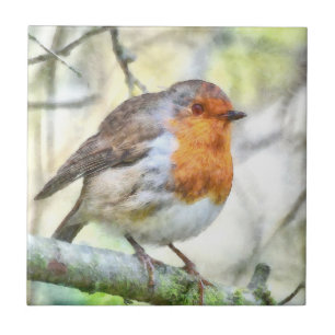 Weihnachten Robin RedBrustbrand Winter Wasserfarbe Fliese