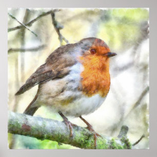 Weihnachten Robin RedBrustbrand Winter Wasserfarbe Poster