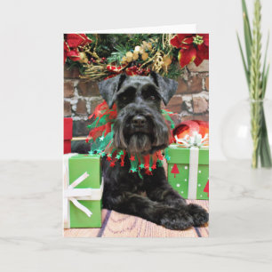 Weihnachten - Schnauzer - Fergie
