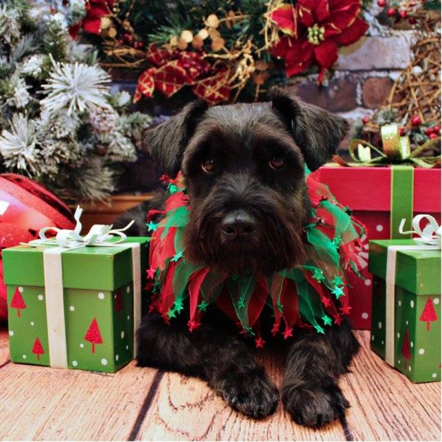 Weihnachten - Schnauzer-Mischung - Bentley Freistehende Fotoskulptur (Vorne)