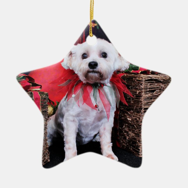 Weihnachten - Schnoodle - Zoey Keramikornament (Vorne)