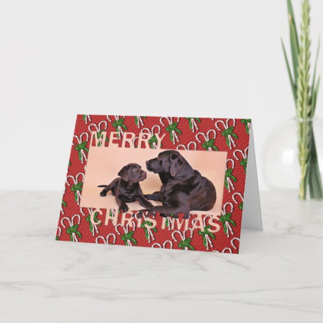 Weihnachten - Schokolade Labradors (Vorderseite)